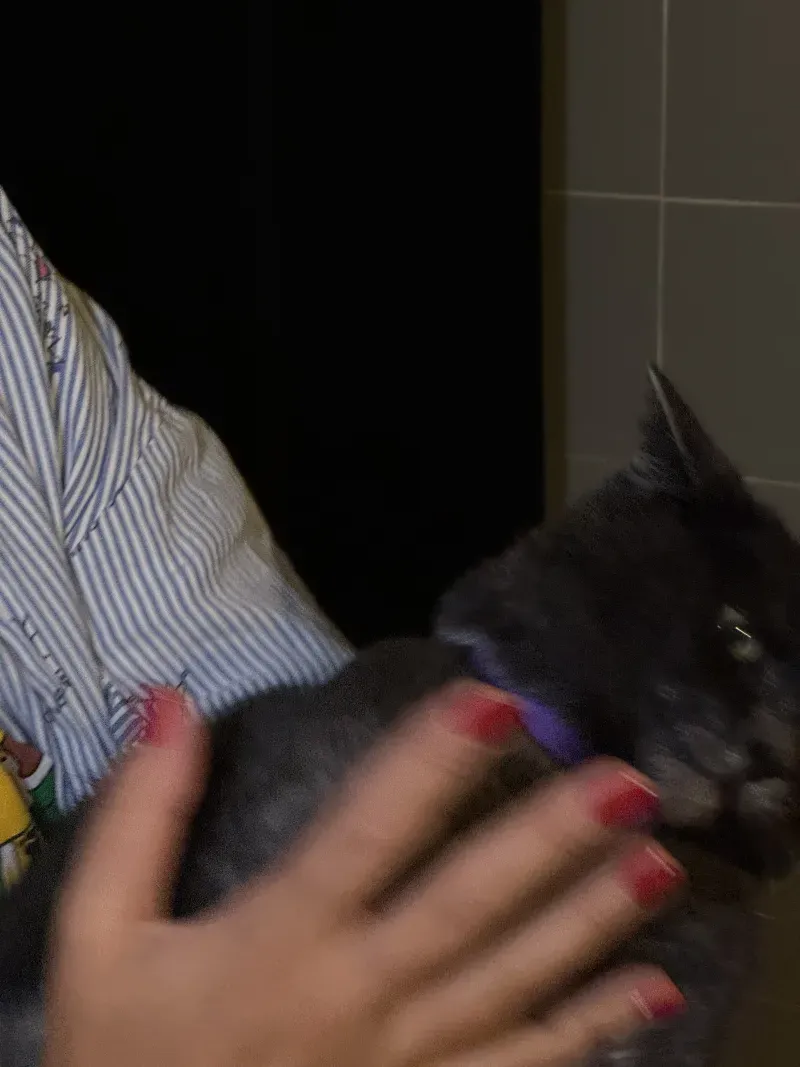 color nails example #20